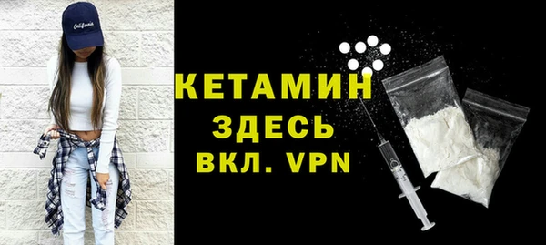 сатива Няндома