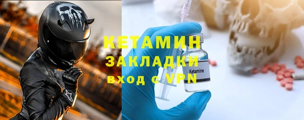 сатива Няндома