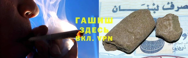 сатива Няндома