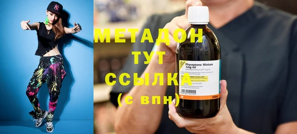 сатива Няндома