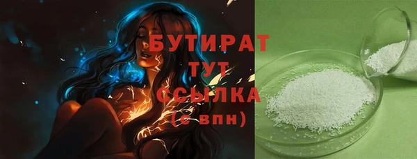 сатива Няндома