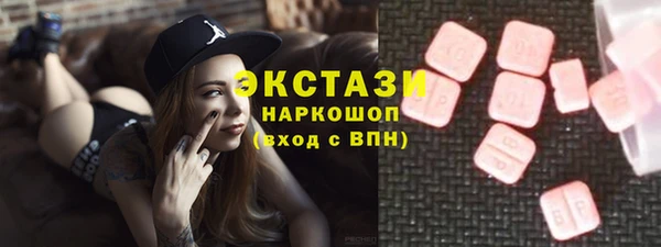 сатива Няндома