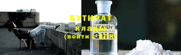сатива Няндома