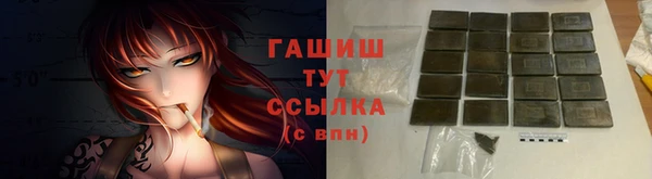 сатива Няндома