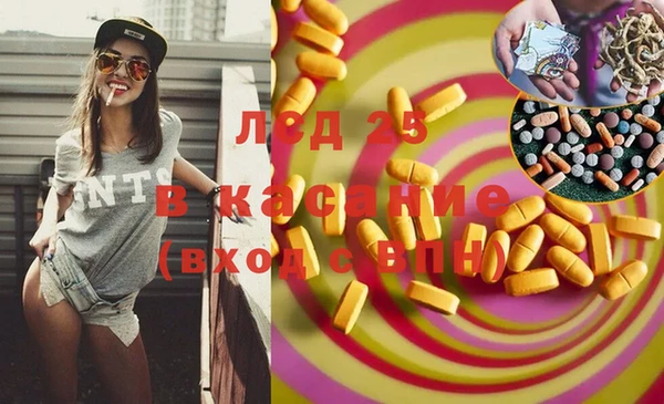 сатива Няндома