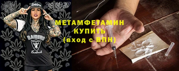 сатива Няндома