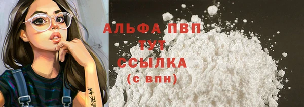 сатива Няндома