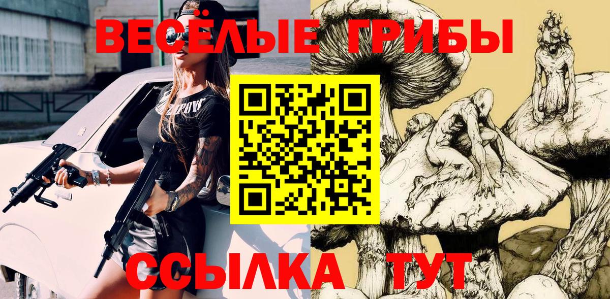 Псилоцибиновые грибы Psilocybine cubensis Кимры