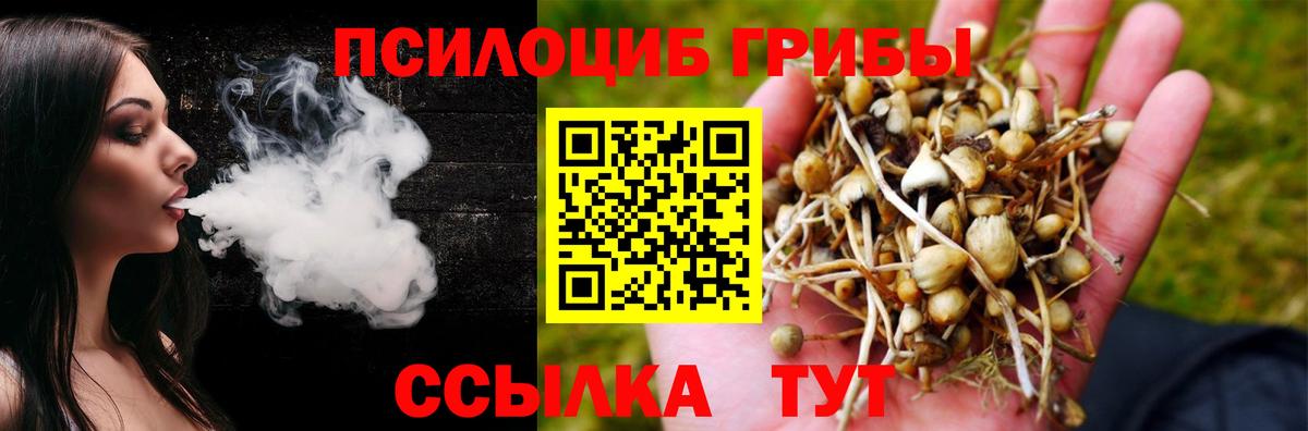 Галлюциногенные грибы MAGIC MUSHROOMS  Вход с VPN  Кимры  Галлюциногенные грибы мицелий 